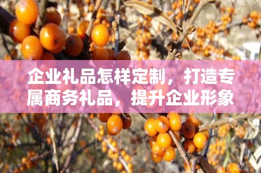 企业礼品怎样定制，打造专属商务礼品，提升企业形象与品牌价值