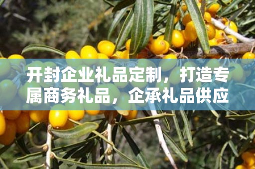 开封企业礼品定制，打造专属商务礼品，企承礼品供应链助力企业发展