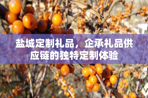 盐城定制礼品，企承礼品供应链的独特定制体验