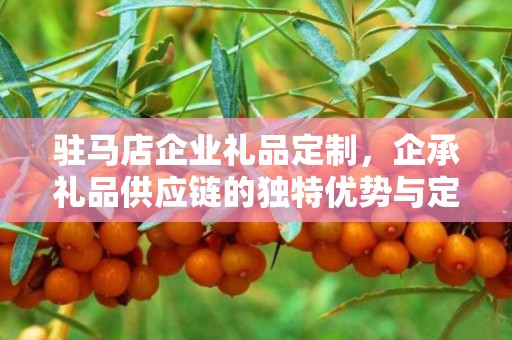 驻马店企业礼品定制，企承礼品供应链的独特优势与定制体验