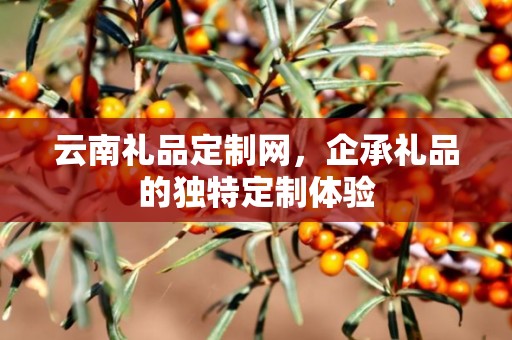 云南礼品定制网，企承礼品的独特定制体验