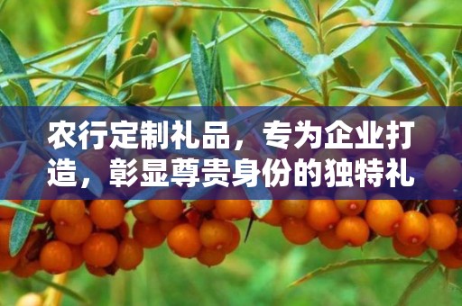 农行定制礼品，专为企业打造，彰显尊贵身份的独特礼品