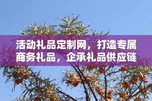 活动礼品定制网，打造专属商务礼品，企承礼品供应链为您保驾护航